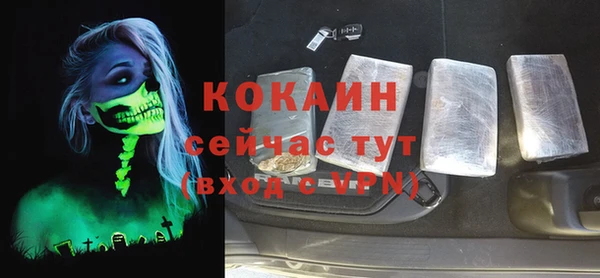 ECSTASY Елизово