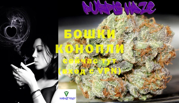 мдма Дмитриев
