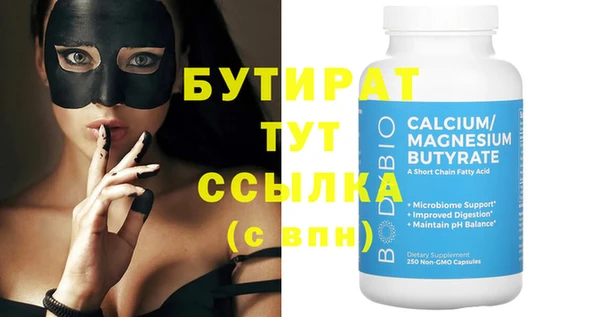 индика Елабуга