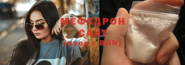 индика Елабуга