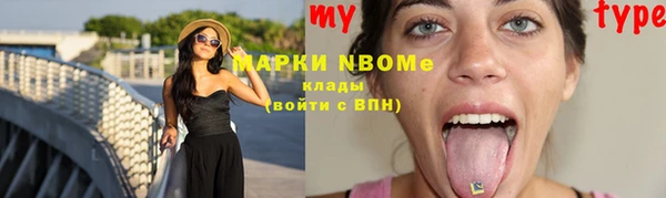 индика Елабуга