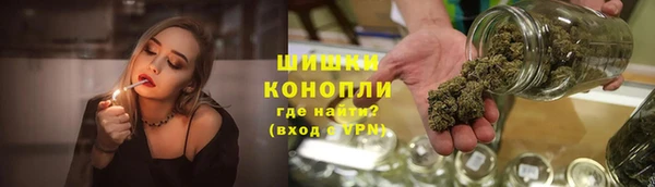 ECSTASY Елизово
