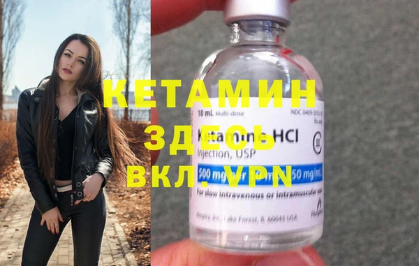 индика Елабуга