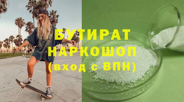 индика Елабуга