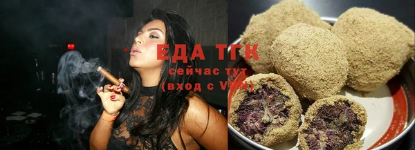 индика Елабуга