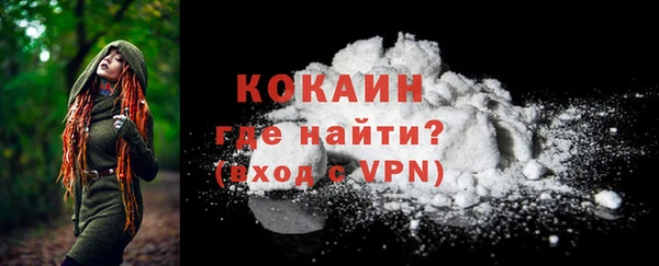 индика Елабуга