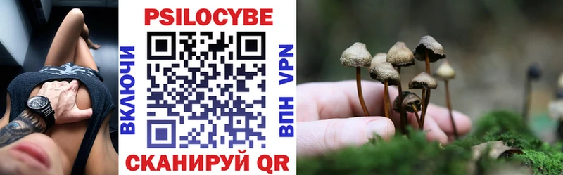Купить где  Маркс  Галлюциногенные грибы Psilocybine cubensis 